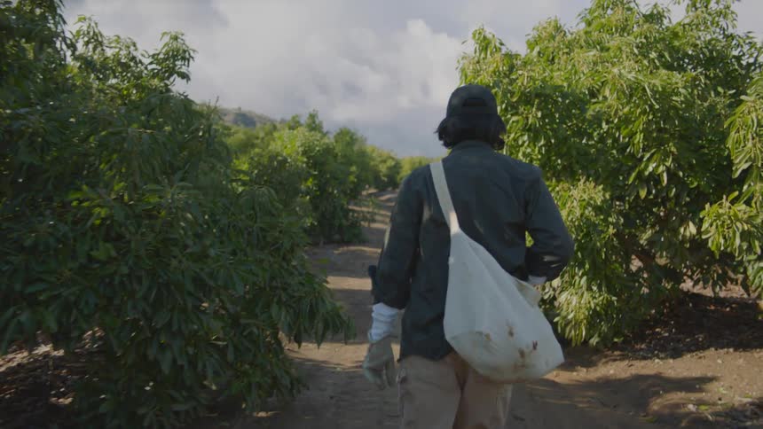 Man walking through trees