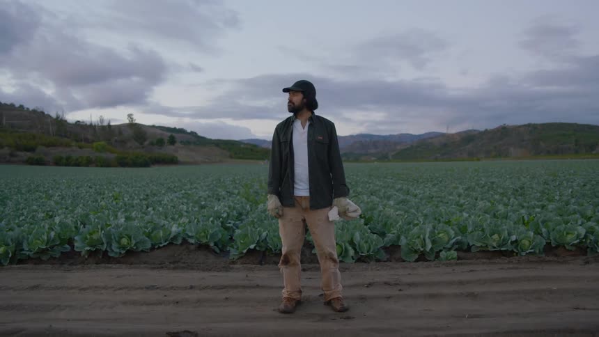 Man with soiled pant knees stands on dirt road next to cabbage field wit mountain and hills on horizon under cloudy sky