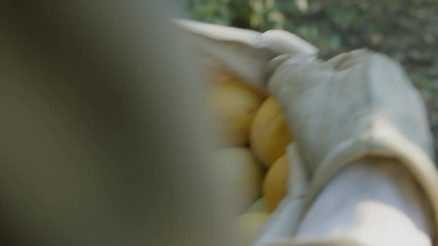 A man carries a bag of lemons outdoors during the day
