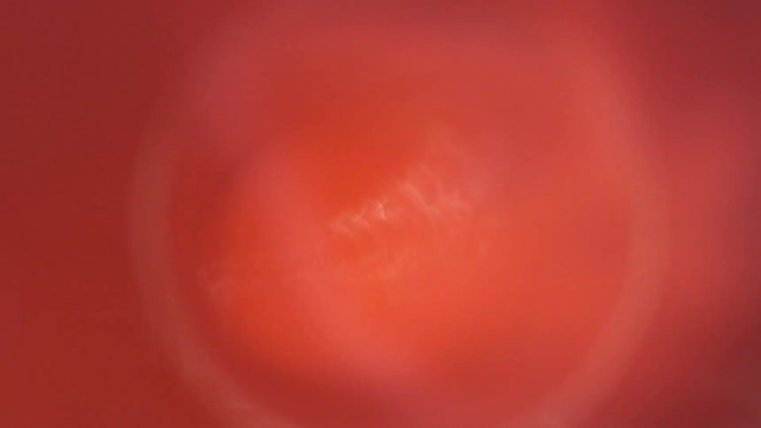 A flash of red in a circular scope against a black background
