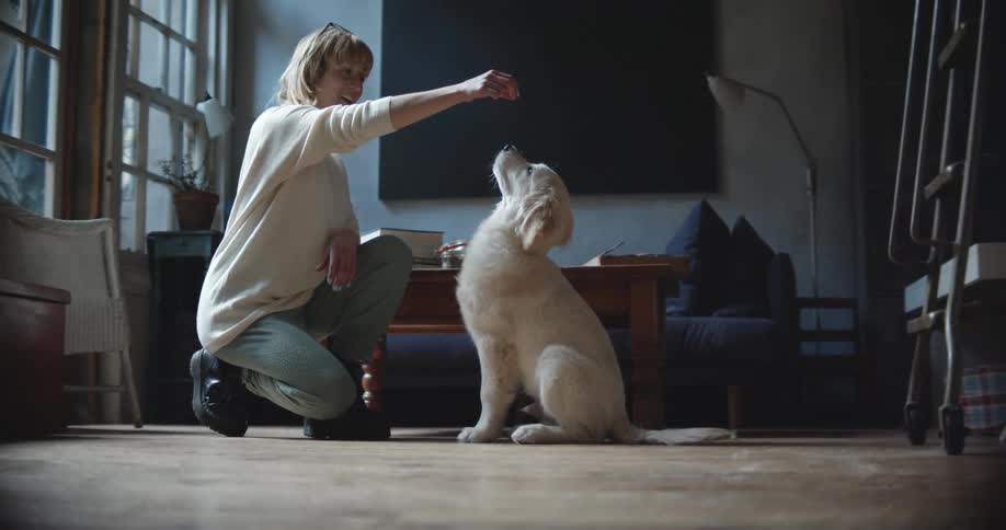 Woman playing with her pet dog at home