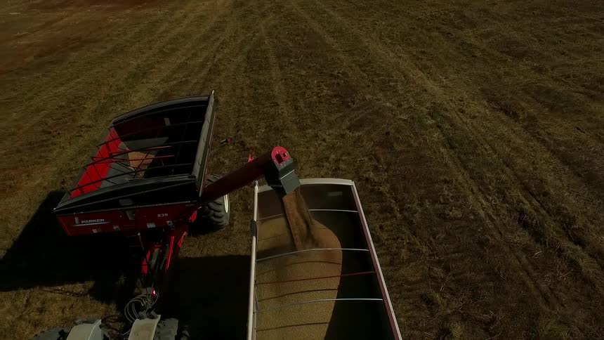 A farm vehicle is processing crops in a large bin