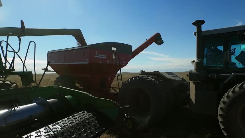 A large farm vehicle is working a field pouring into a container