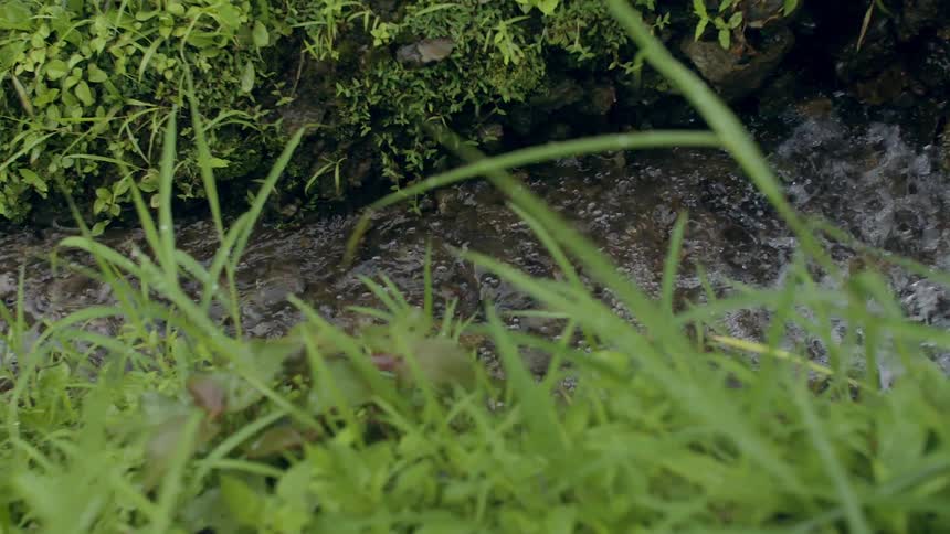 Water rushes down a small stream
