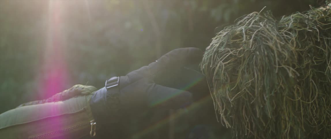 Person wearing gloves and long green sleeves reaches for clump formed of tendrils in forest as sun glares