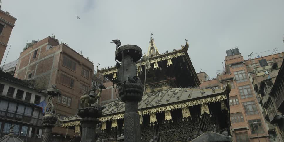 Pigeons fly around and sit on features of a buddhist temple