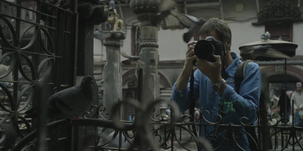 A man is photographing pigeons flying around