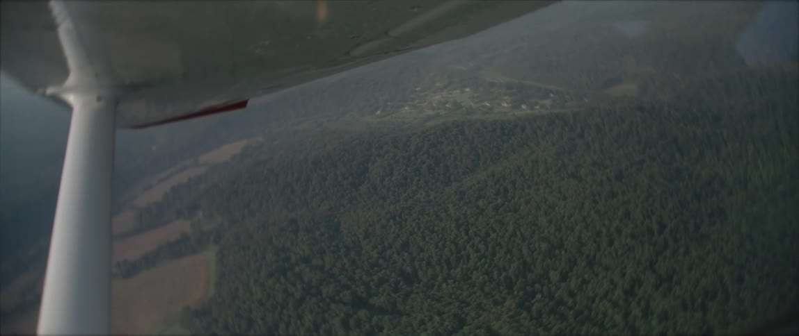 Airplane flies over the forest and fields