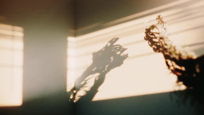 Long limb like object made from cluster of cord creates moving shadow on wall