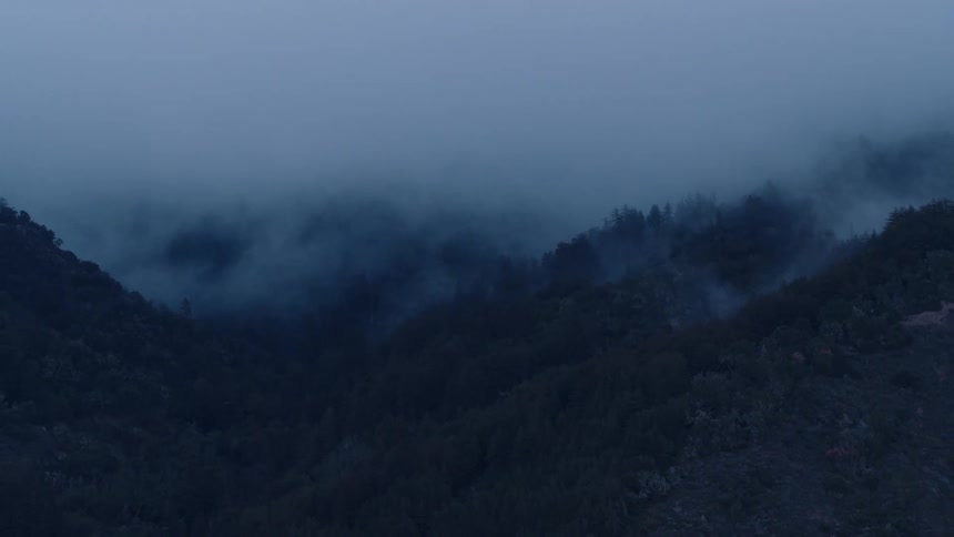 Low clouds cling to a tree-covered mountainside in daylight