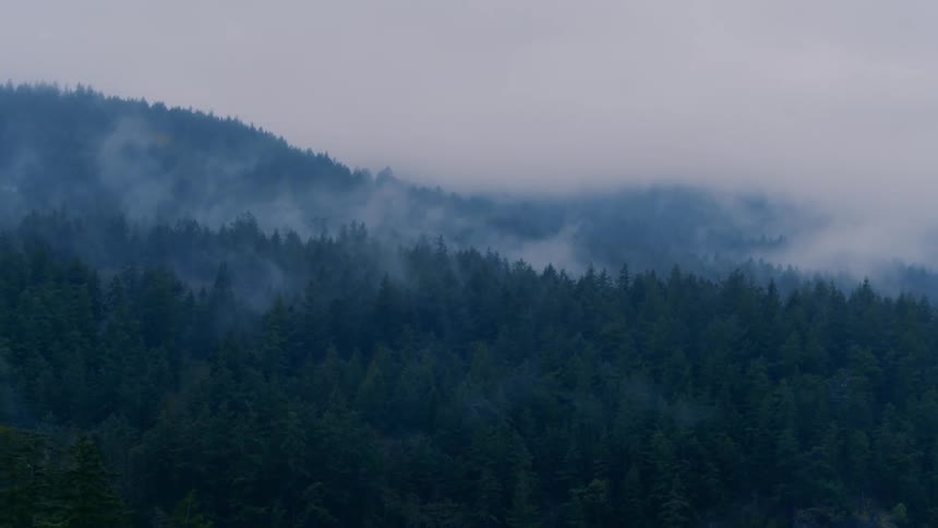 Fog rolls over the hills covered in trees