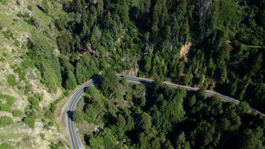 Road winds through tree covered mountains