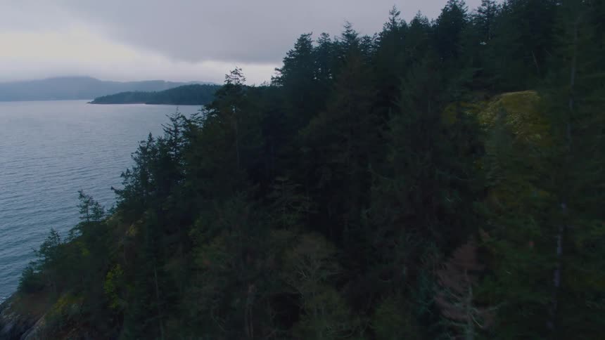 Tree covered hilly coast on a cloudy day
