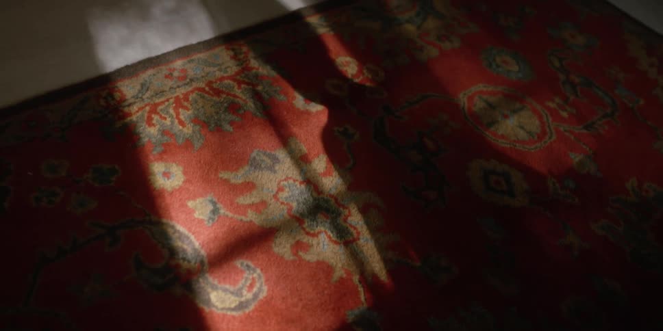 A persons shadow cast on a rug