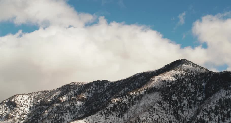 A range of large mountains are covered with snow and patches of forests
