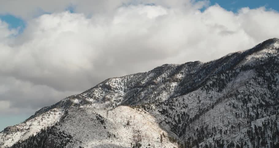 The mountain is covered with snow and trees