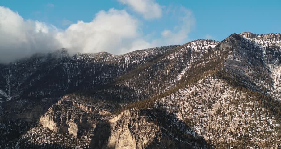 Mountains with trees