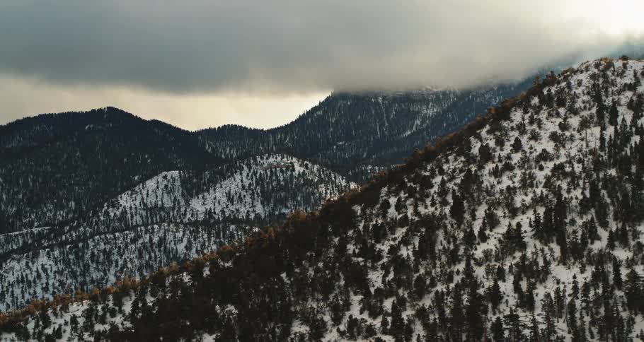 Snow and pine covered mountains on a cloudy winter day