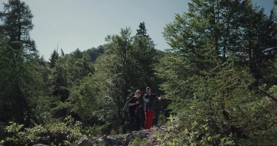 A man and woman hiking through a forest together stop for a moment to discuss the scenery before continuing onward