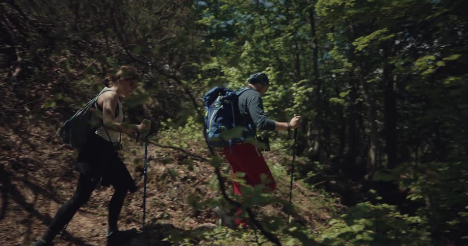 A man and woman hiking through trees in a forest in the daytime