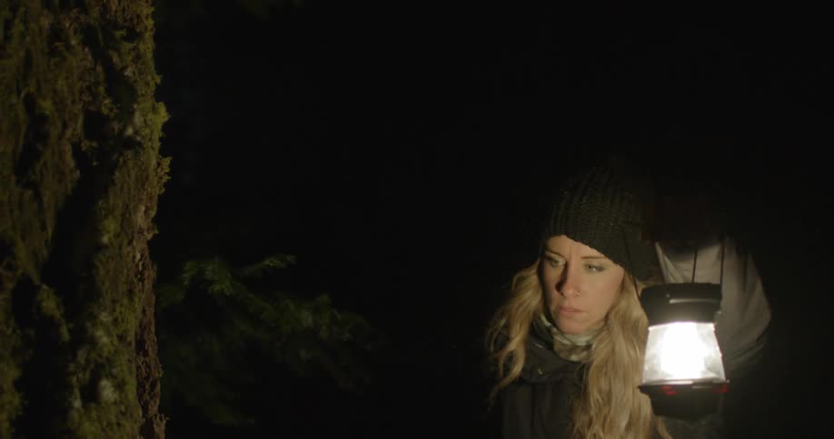 A woman holds a lantern near a tree