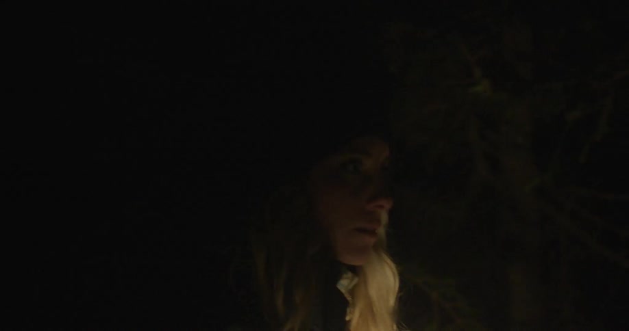 A woman carrying a lantern walks near pine trees at night