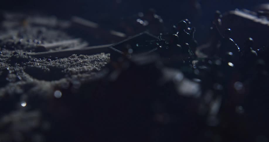 Toy soldiers are displayed in soil as though they were in battle as a light flashes overhead