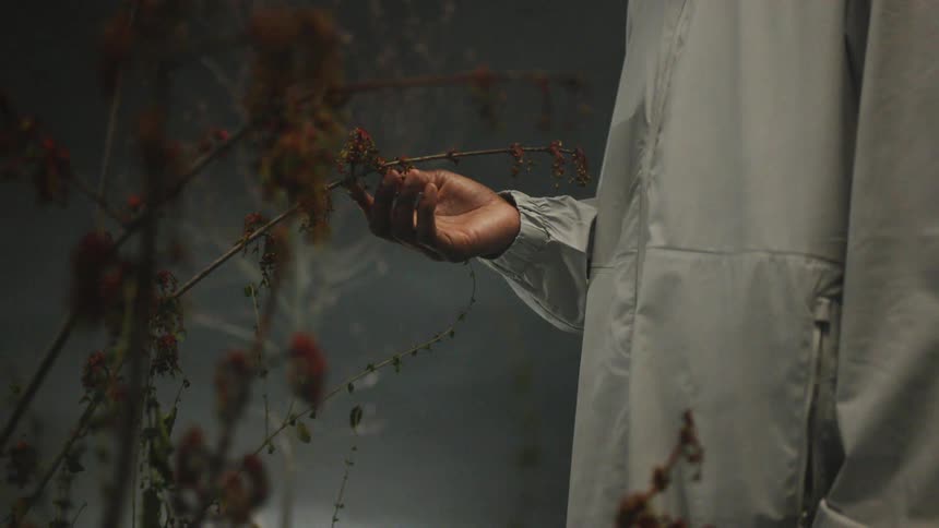 A person wearing a white jacket holding a twig in his hand
