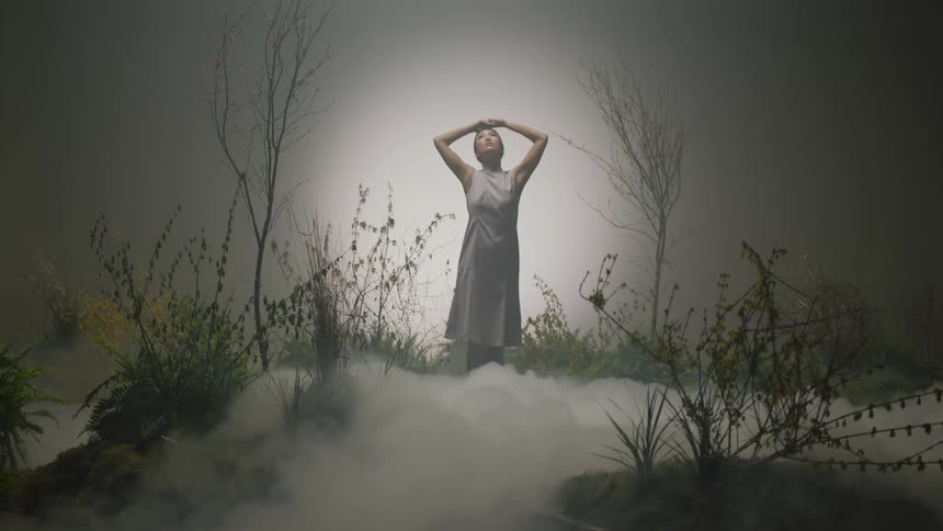 A woman surrounded by plants leaves and fog