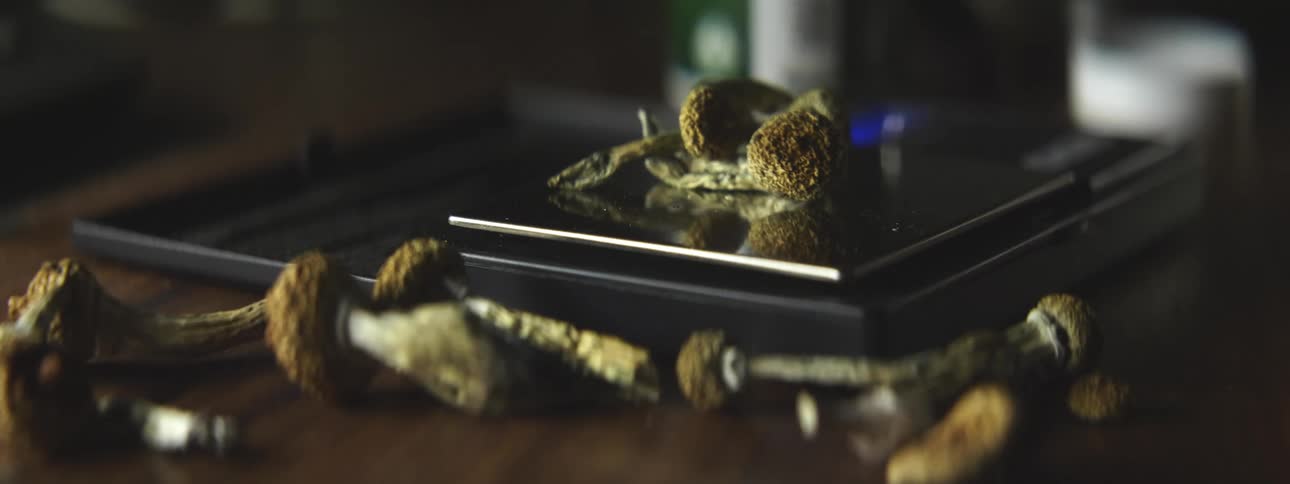 A person in a room placing mushrooms on a scale on a table