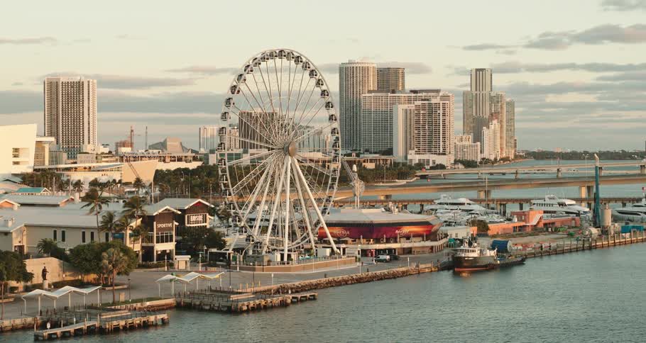 Ships and boats docked in a marina near a ferris wheel with a city skyline behind