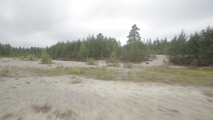 A bare field next to a forest