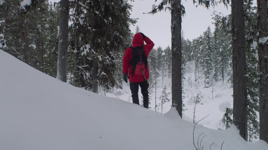 A person wearing a red coat climbs up a snowy hill sightseeing