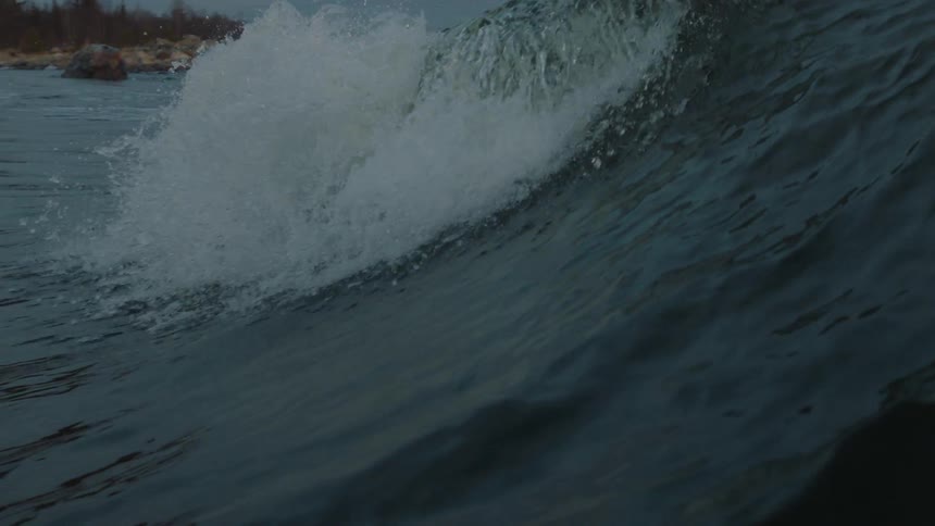 A large wave rolls crashing toward a shore covered in pines trees