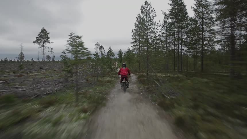 A person on a dirt bike on a dirt path through a bare forest on an overcast day