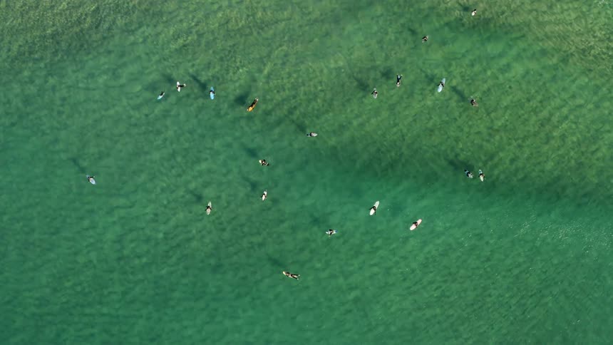 Surfers are on their boards in the water waiting for waves