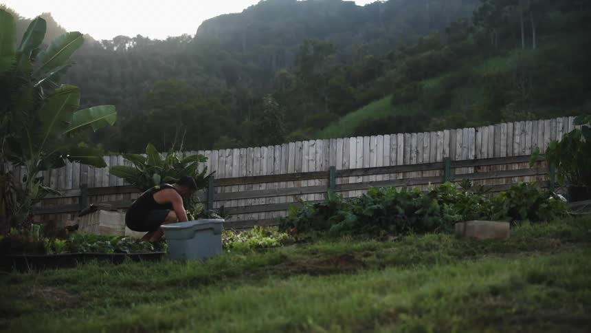 A man squats down while tending to his garden