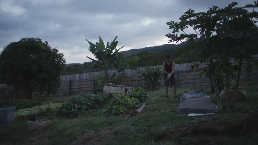 A man stands in his garden near the vegetable bed with a garden hose