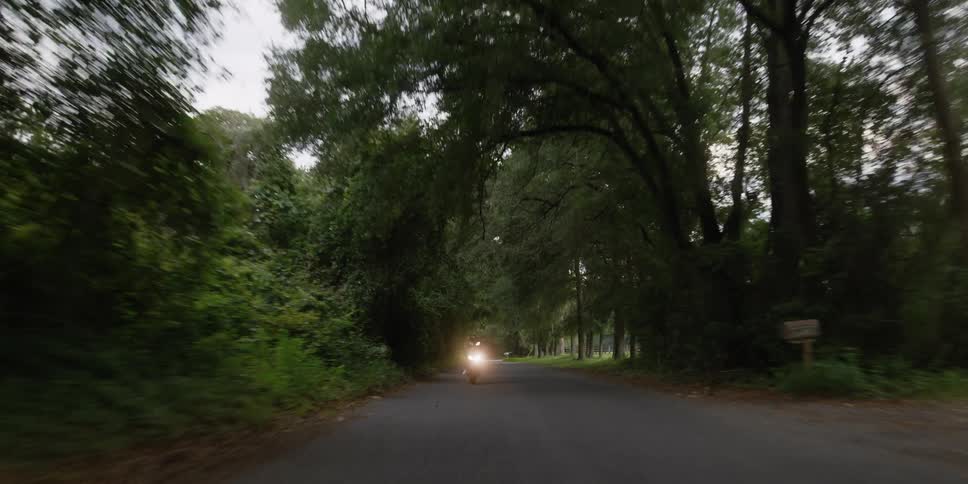 Driving shot of a country road