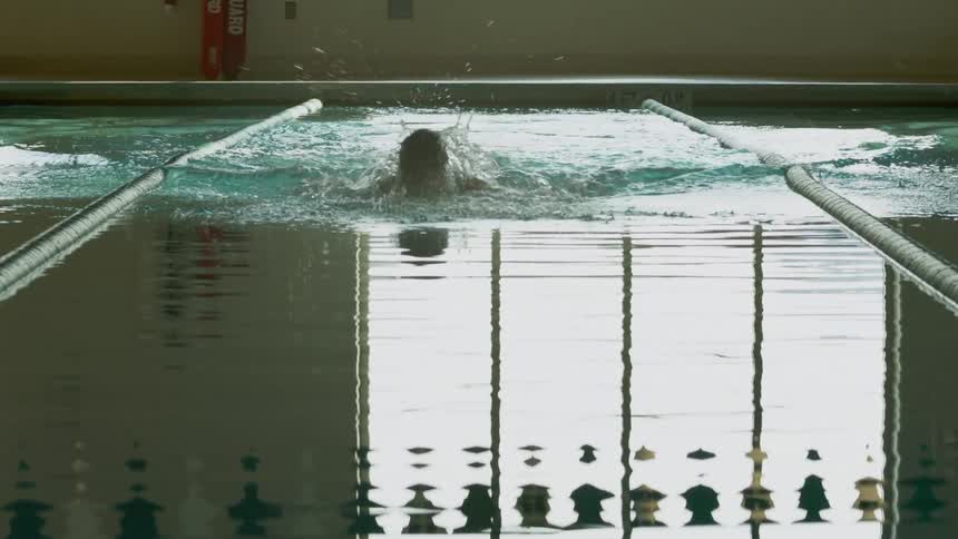 A male swimmer doing the butterfly stroke in a lane in the pool
