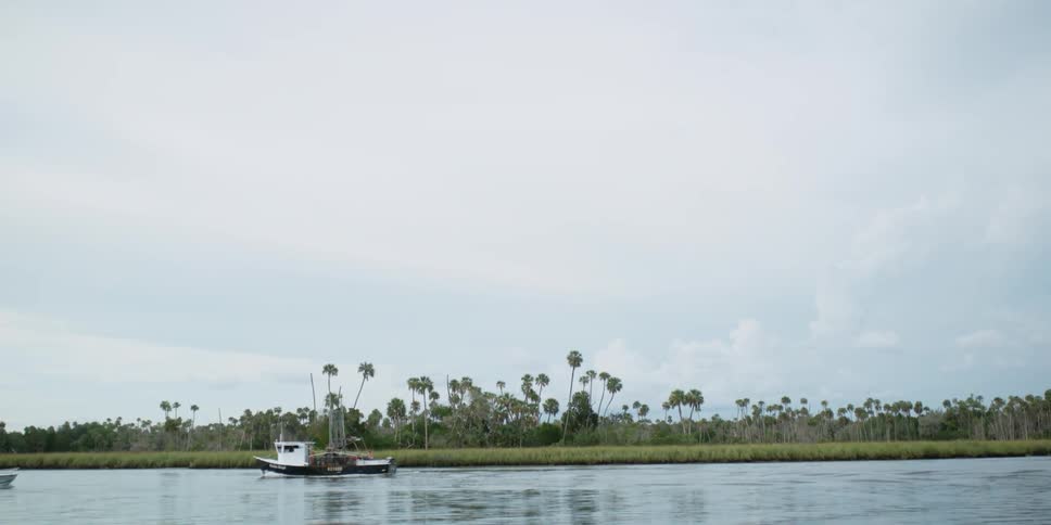 Boats in a canal pass each other near palm tree lined shore