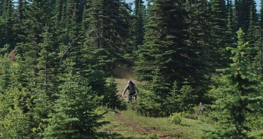 A mountain bike athlete rides over an undulating dusty meadow trail with trees