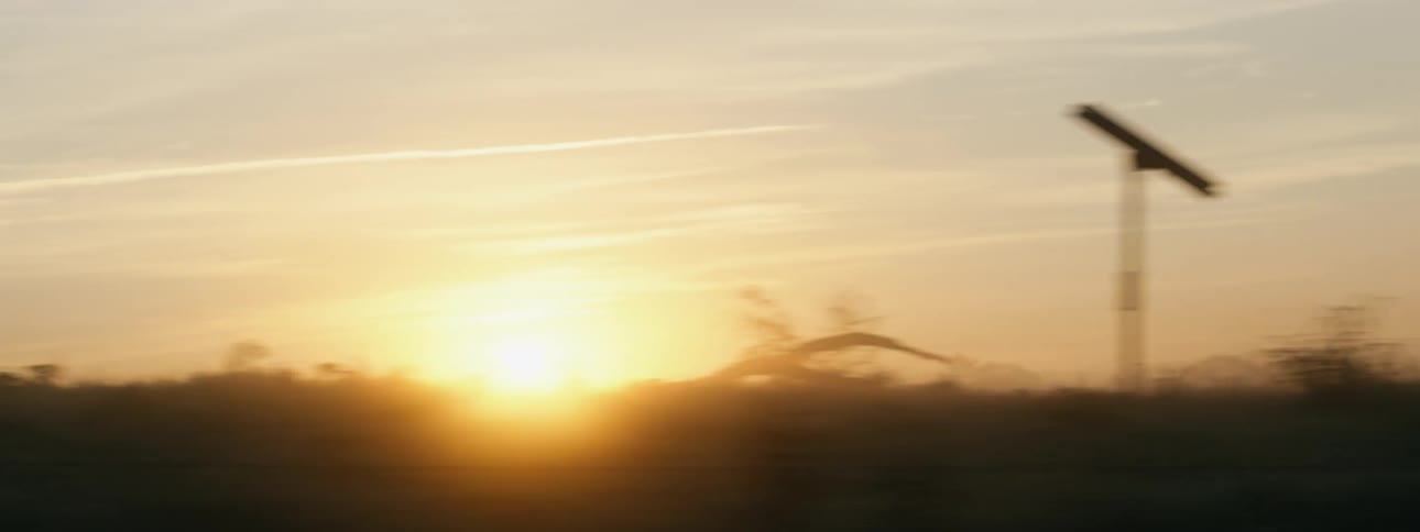 A view of the sun at the edge of a field