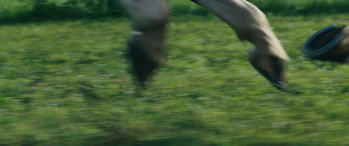 A horse runs through a field surrounded by a wooden fence on a clear day
