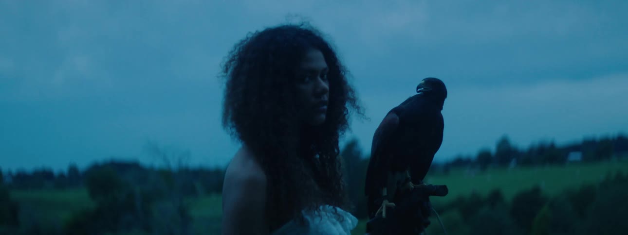 A female falconer standing outdoors on a cloudy evening with a hawk resting on her hand turns her head to gaze into the camera