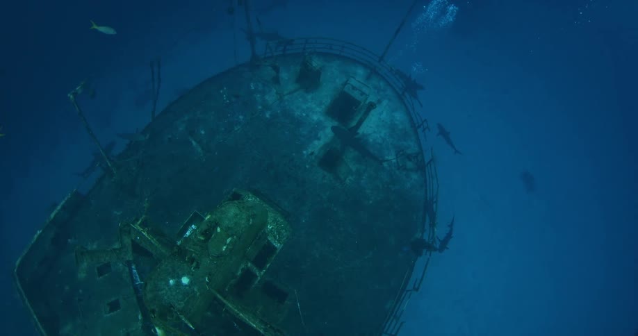 A rusty, sunken ship surrounded by water life