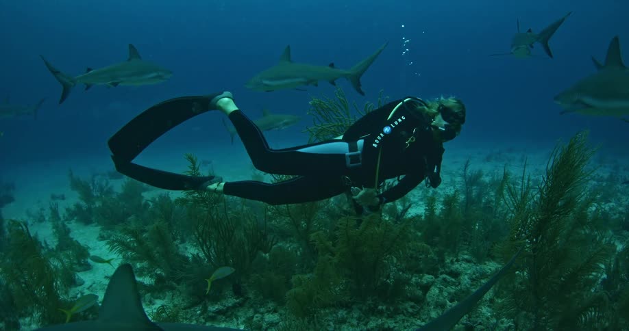 A scuba diver is swimming across the ground underwater
