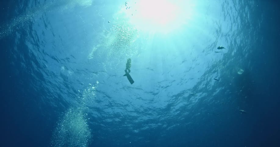 A scuba diver swimming near the surface of the water with the sun glaring down