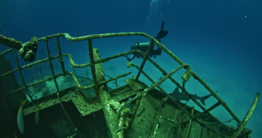 A scuba diver is checking out a sunken ship