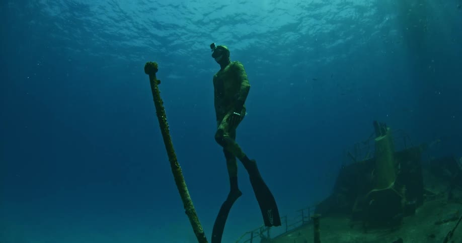 A diver swims near a sunken ship